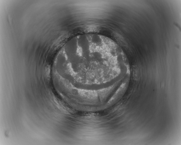 X0000102410550200808221914