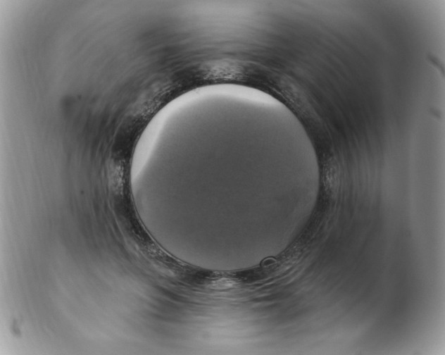 X0000102410551200808221914