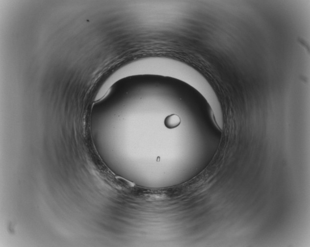 X0000102410552200808221914