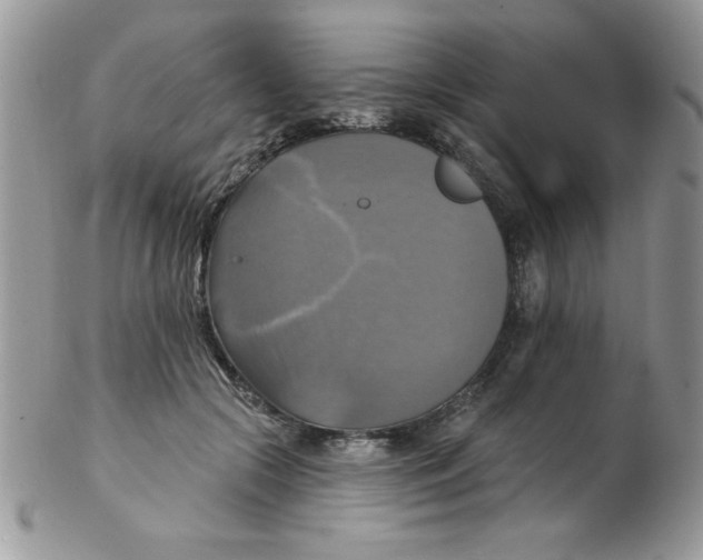 X0000102410553200808221914