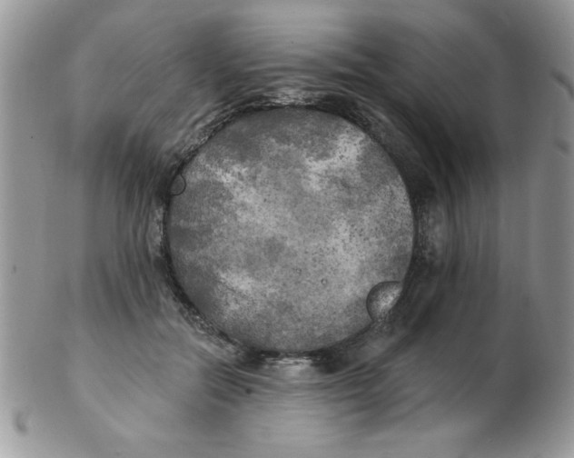 X0000102410554200808221914