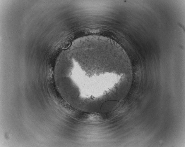 X0000102410555200808221914