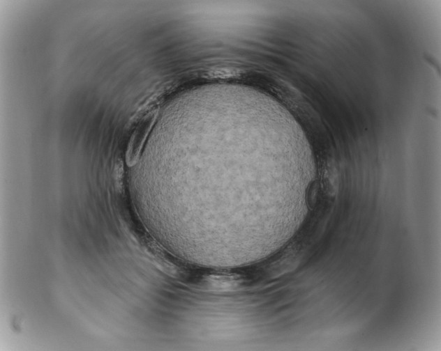 X0000102410556200808221914