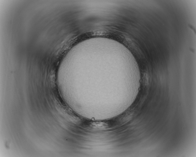 X0000102410557200808221914