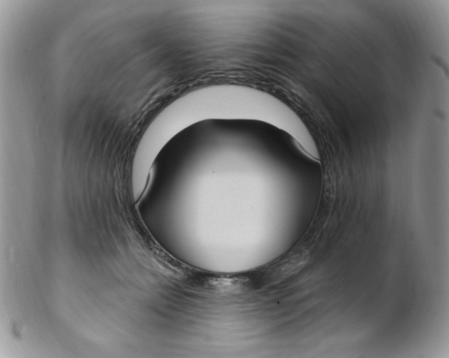 X0000102410558200808221914