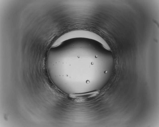 X0000102410560200808221914