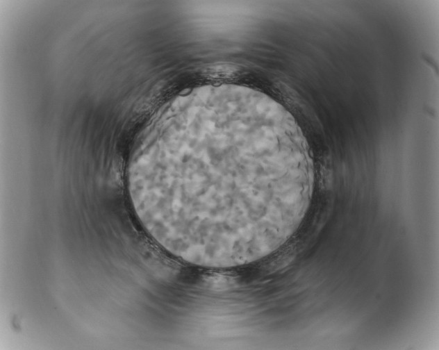 X0000102410561200808221914