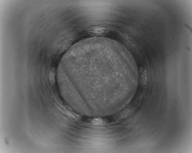 X0000102410562200808221914