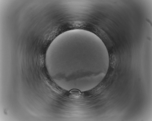 X0000102410563200808221914