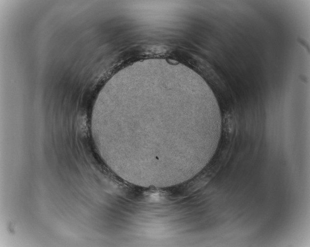 X0000102410564200808221914