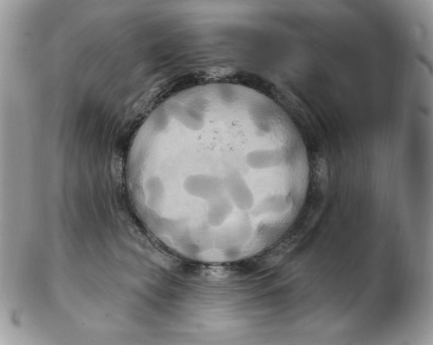 X0000102410565200808221914