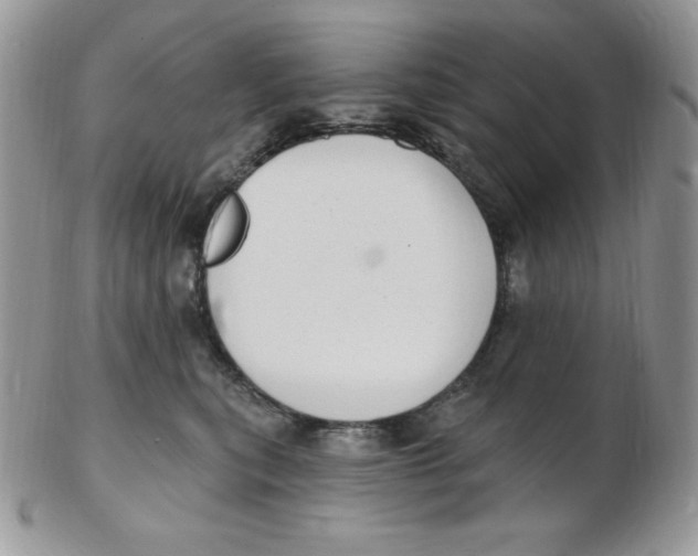 X0000102410567200808221914