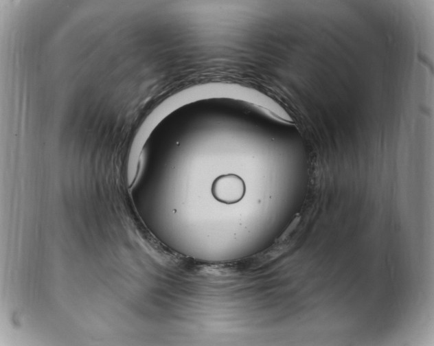 X0000102410568200808221914