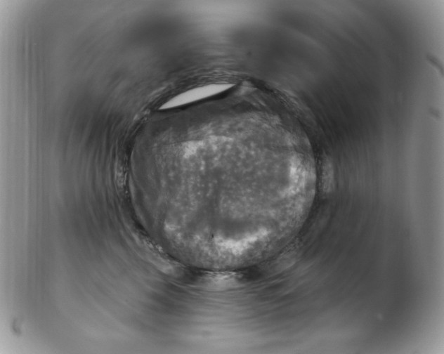 X0000102410569200808221914