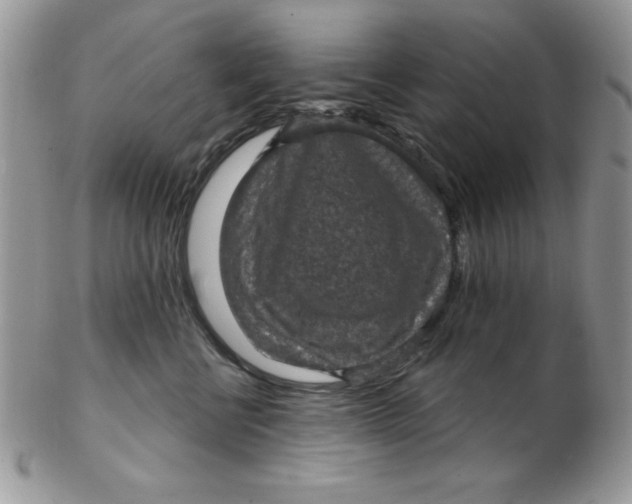 X0000102410570200808221914