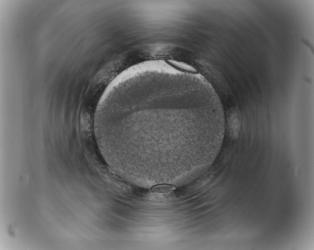 X0000102410571200808221914