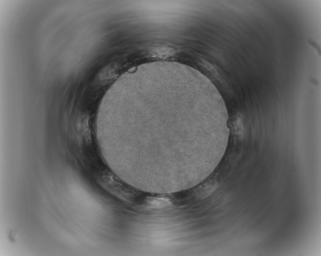 X0000102410572200808221914