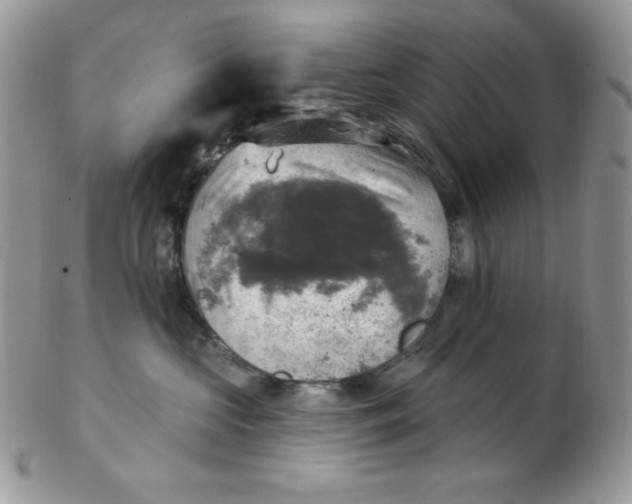 X0000102410573200808221914