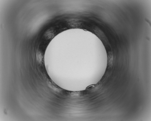 X0000102410574200808221914