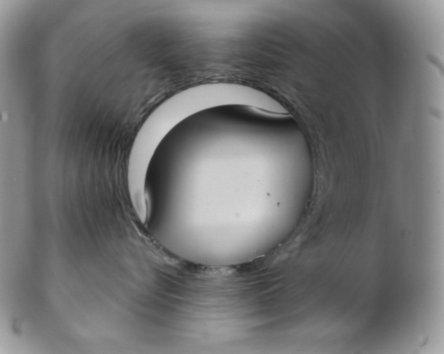 X0000102410576200808221914