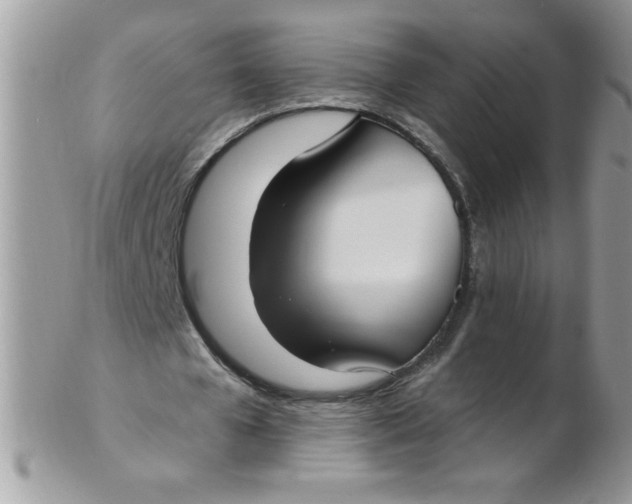 X0000102410577200808221913