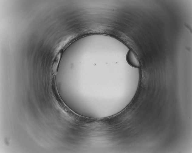 X0000102410578200808221913