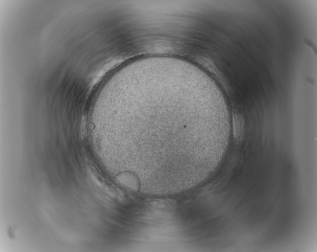 X0000102410579200808221913