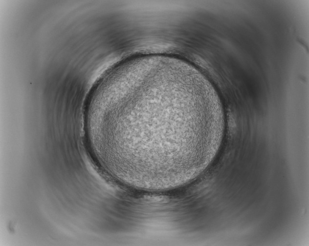 X0000102410582200808221913