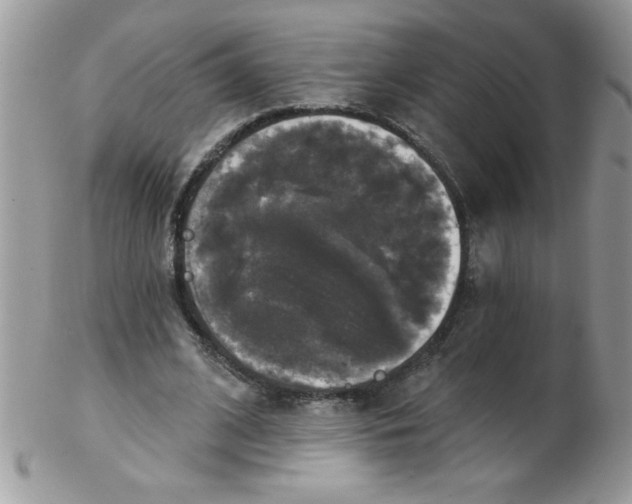 X0000102410584200808221913