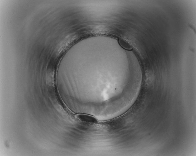 X0000102410585200808221913