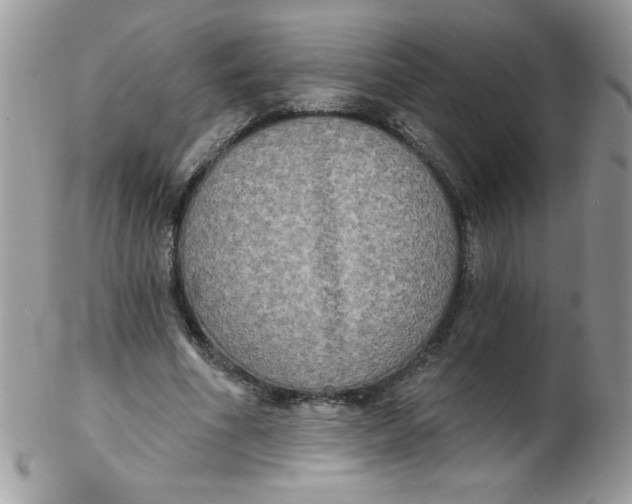 X0000102410586200808221913