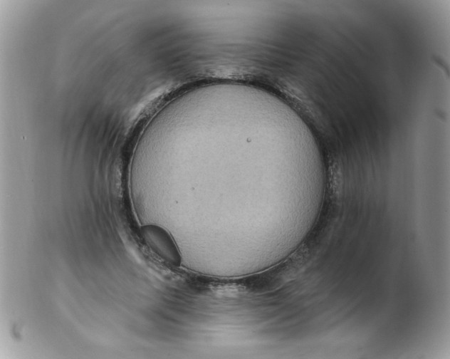 X0000102410587200808221913