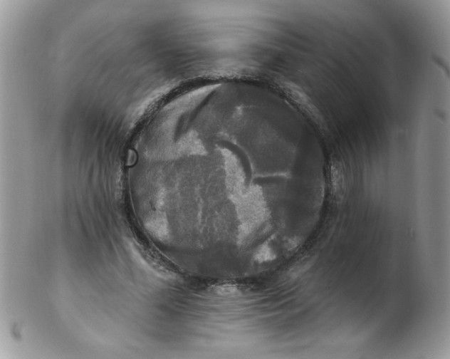 X0000102410588200808221913