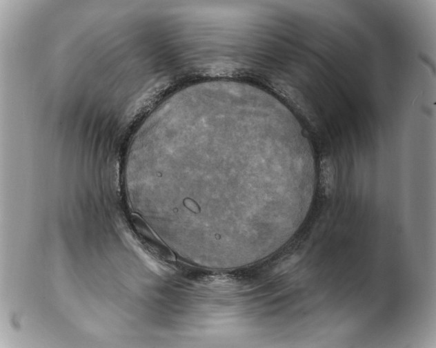 X0000102410589200808221913