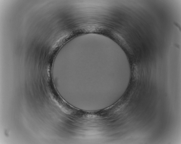 X0000102410590200808221913