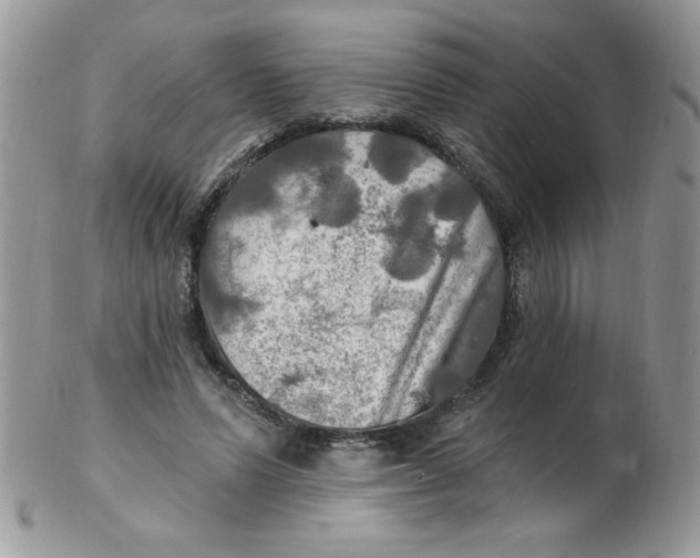 X0000102410591200808221913