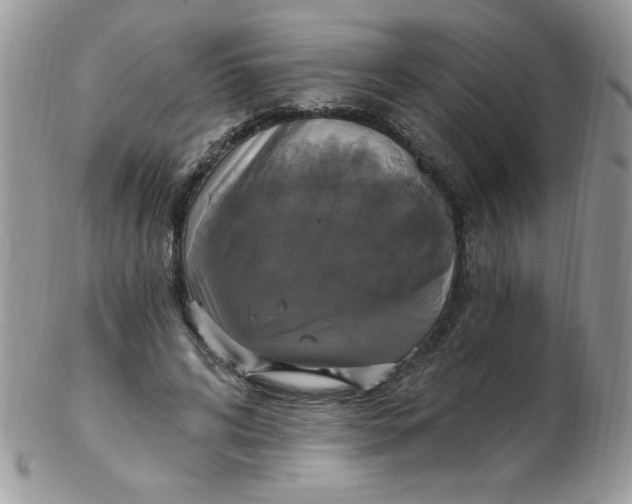 X0000102410592200808221913