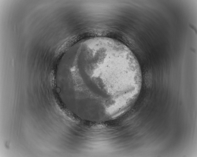 X0000102410594200808221913