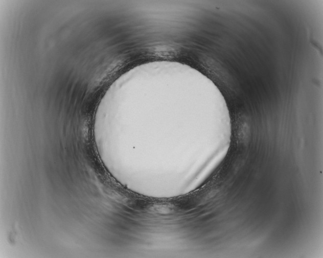 X0000102410595200808221913