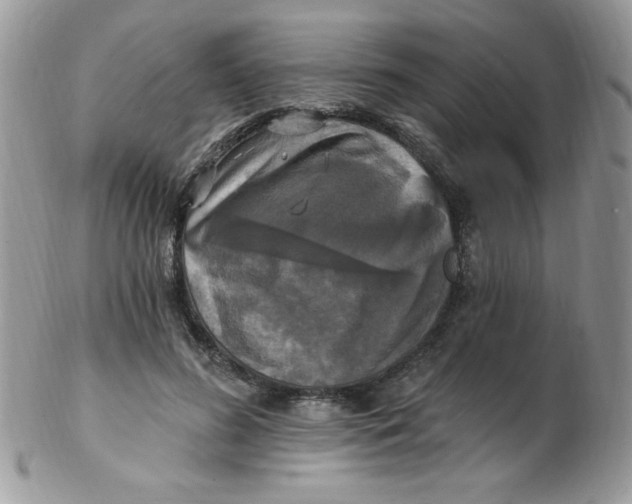 X0000102410596200808221913