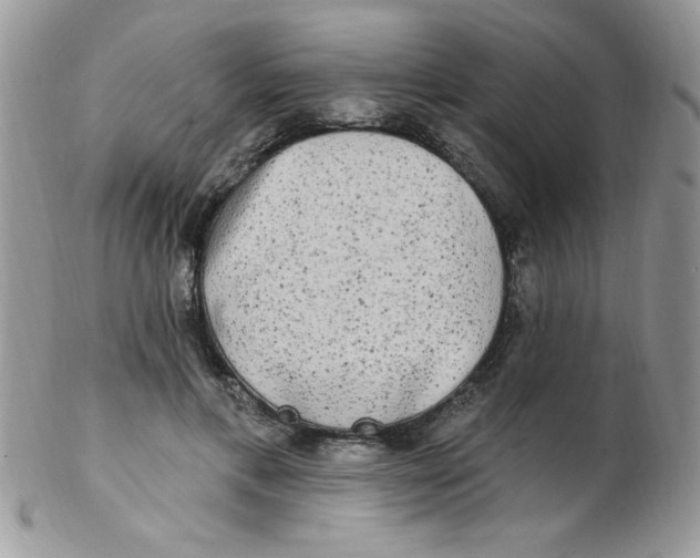 X0000102410597200808221913