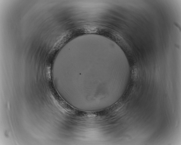 X0000102410598200808221913