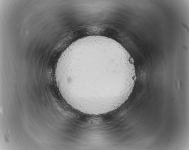 X0000102410599200808221913