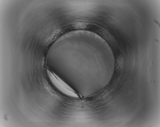 X0000102410600200808221913