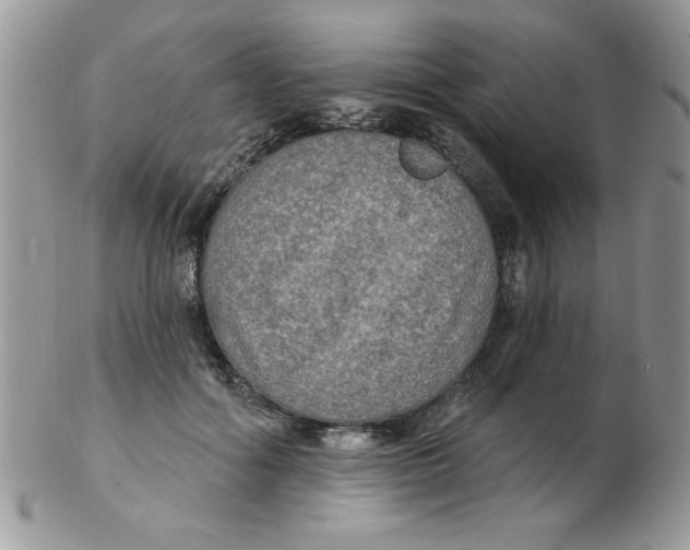 X0000102410602200808221913