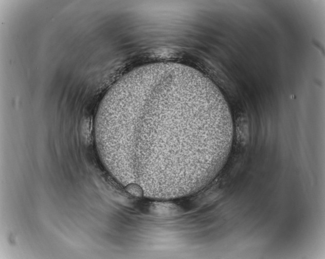 X0000102410605200808221913