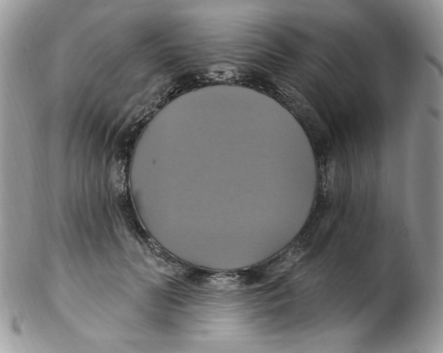 X0000102410606200808221913