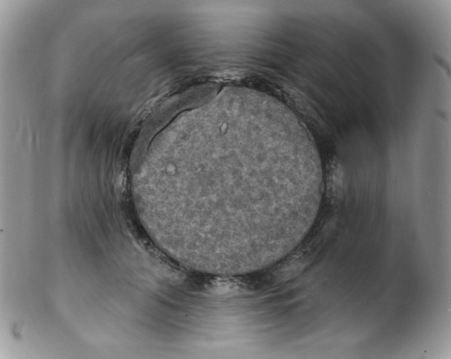 X0000102410608200808221913