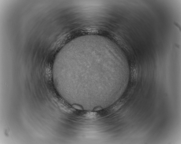 X0000102410609200808221913