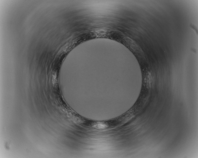 X0000102410610200808221913